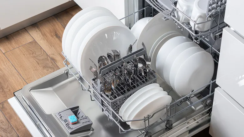 Garbage Disposal Repair in Toronto